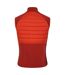Veste Sans Manches Descending Homme Cannelle Rouge Toscan Dare 2B-2