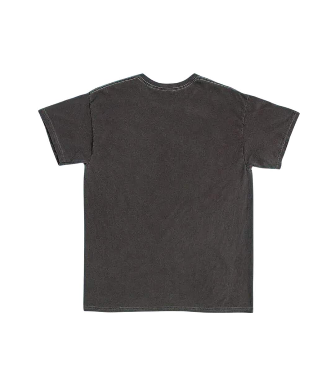 T-shirt Adulte Anthracite Dawson´s Creek-2