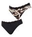 Pack of 2 Brislip Coquettes JPB2 women's panties