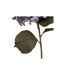 Fleur Artificielle Hortensia 83cm Bleu-3