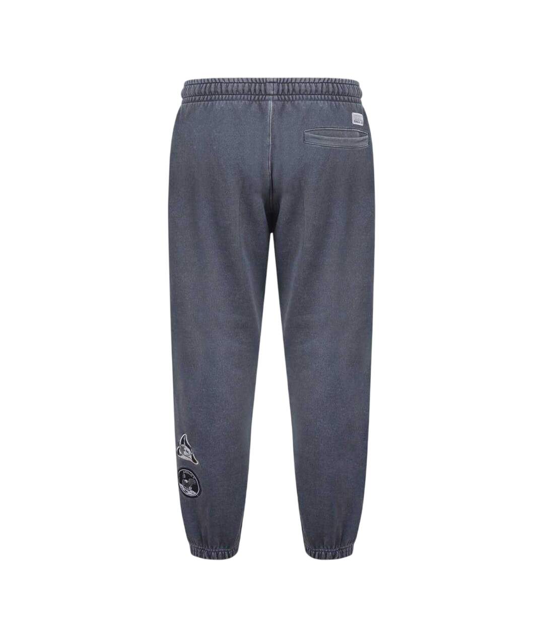 Pantalon De Jogging Motif/style  Homme Gris NASA-2