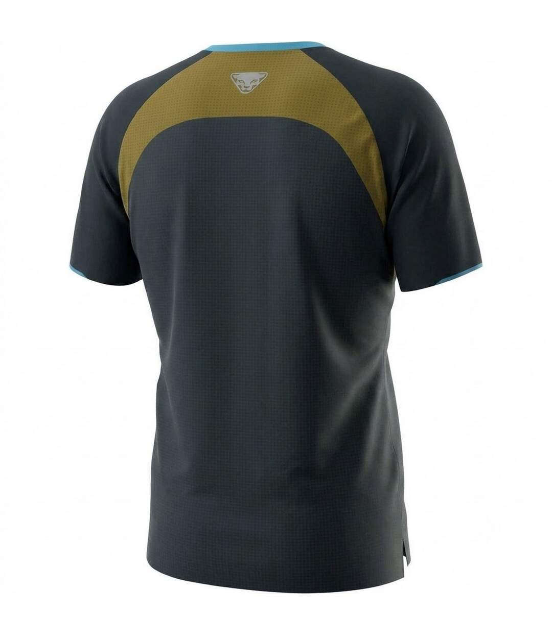 T-shirt Manches Raglan Ride Homme Myrtille Dynafit-2