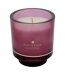 Bougie Parfumée en Verre Ilae 225g Bois de Figue-1