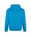 Sweat À Capuche Homme Bleu Turquoise PRORTX-2