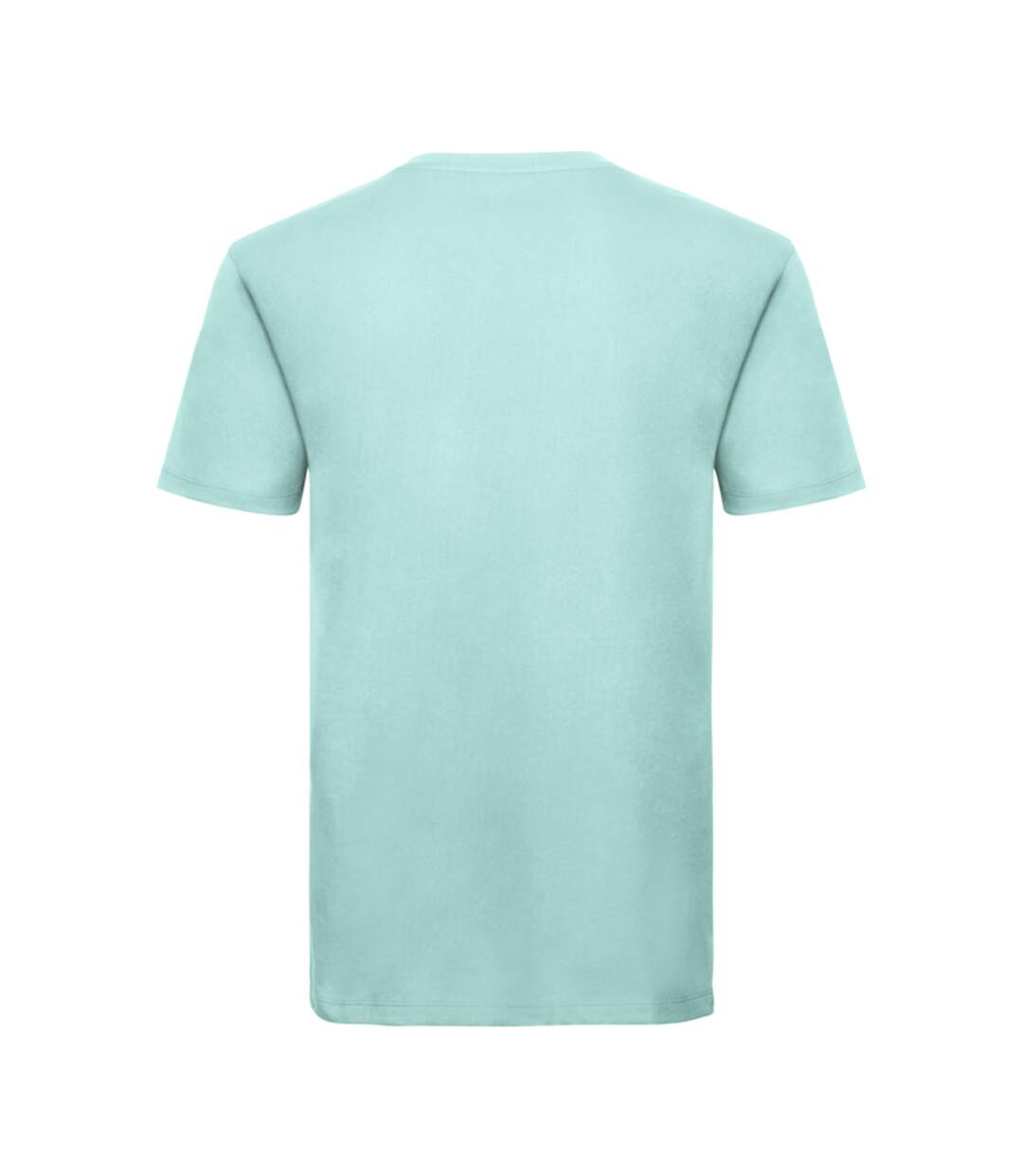 T-shirt Motif/style Uni Homme Turquoise Pâle Russell Pure Organic-2