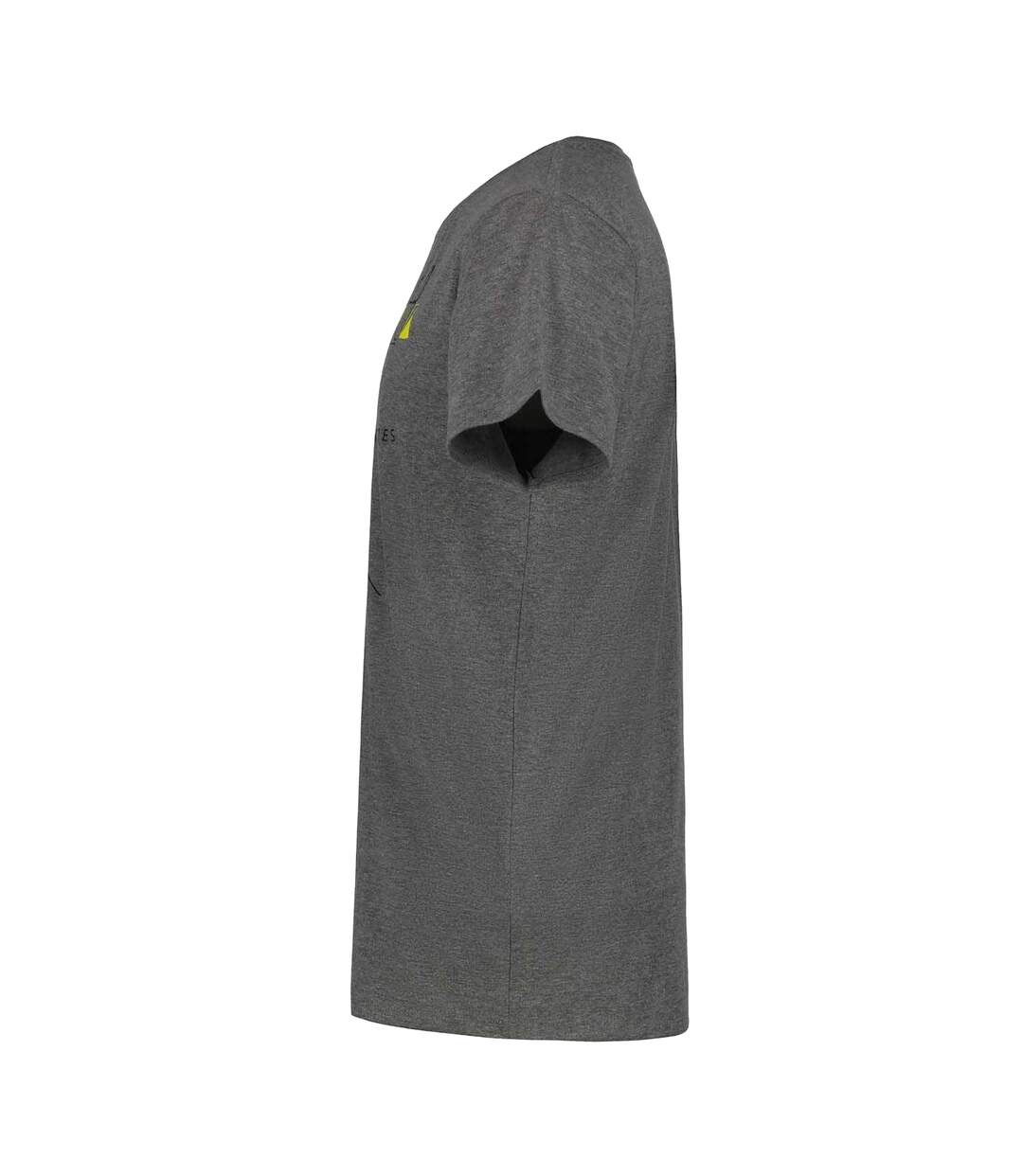 T-shirt Beeville Performance Homme Gris Icepeak-2