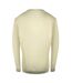 Sweat Motif Logo Adulte Beige Sable Cavalli Class-2