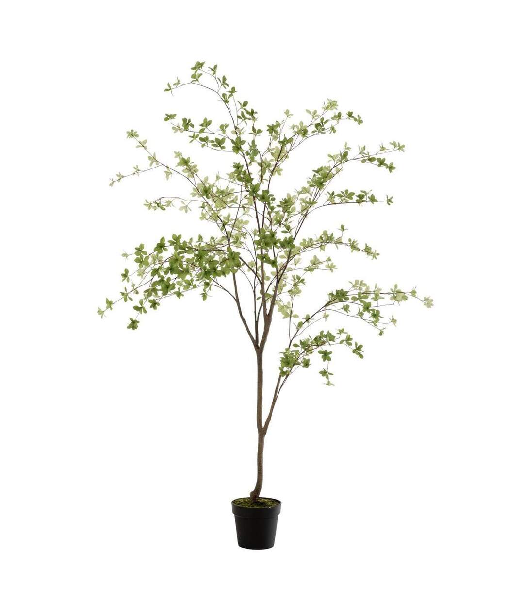 Plante Artificielle Fines Feuilles 190cm Vert & Noir-1