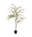 Plante Artificielle Fines Feuilles 190cm Vert & Noir-1