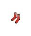Chaussettes NOT UNITED NOT INTERESTED - Adulte (Rouge / Noir) - UTBS3670