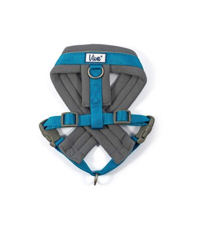 Ancol Viva Padded Dog Harness (Blue/Gray) (M- Chest: 41cm-53cm) - UTTL5355