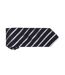 Mens stripe tie Premier