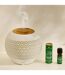 Synergie d'Huiles Essentielles Laure 10ml Fraîcheur Mentholée-2