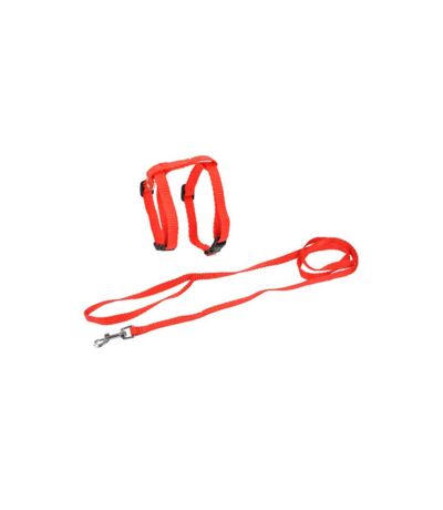 Harnais & Laisse pour Chat Kit 120cm Rouge