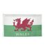 Flag one size green/white Wales Cymru-1