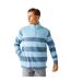 Mens agilno striped half zip fleece top powder blue/coronet blue Regatta