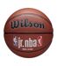 Ballon De Basket Motif/style Logo Jr Nba Taille 7 Marron Wilson-1