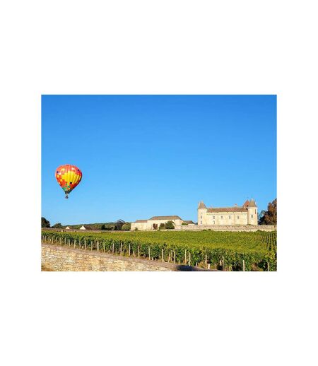 Vol en montgolfière pour 2 personnes au-dessus du château de La Palice - SMARTBOX - Coffret Cadeau Sport & Aventure