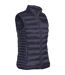 Stormtech Womens/Ladies Basecamp Thermal Quilted Gilet (Navy)