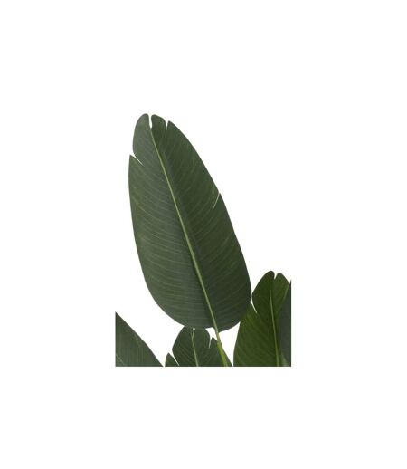 Plante Artificielle en Pot Strelitzia 165cm Vert