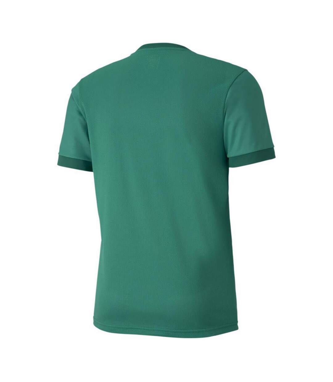 Maillot Teamgoal Homme Vert Puma-2