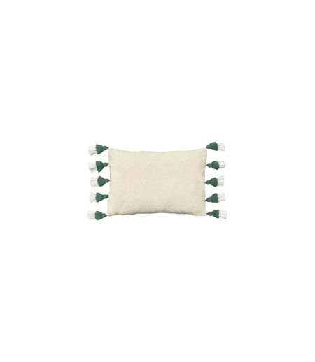 Furn Rainbow Tufted Tassel Throw Pillow Cover (Sage) (One Size) - UTRV2486