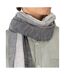 Écharpe Motif/style À Rayures Adulte Taille Unique Gris Spasso-3