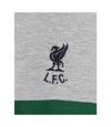 Liverpool FC Mens Panelled T-Shirt (Navy/Green/Gray Marl)