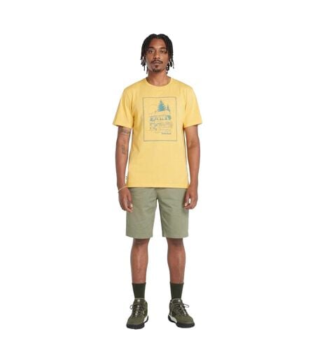 Short Chino Topsfield Homme Vert Timberland