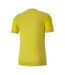 Maillot Teamgoal Homme Jaune Puma-2