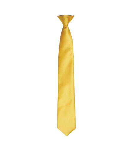 Premier Colours Mens Satin Clip Tie (Terracotta) (One size) - UTRW4407