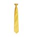 Premier - Cravate à clipser (Terracotta) (Taille unique) - UTRW4407