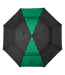 Parapluie Golf Jeff Taille Unique Vert Floso-2