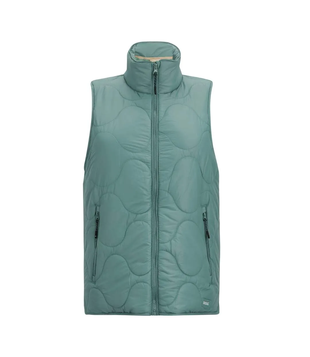 Veste Sans Manches Carlotte Femme Pastel Turquoise Regatta-2