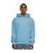 Sweat à capuche homme bleu baltique Build Your Brand