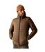 Doudoune Matelassée Rigain Homme Marron Noir Regatta-1