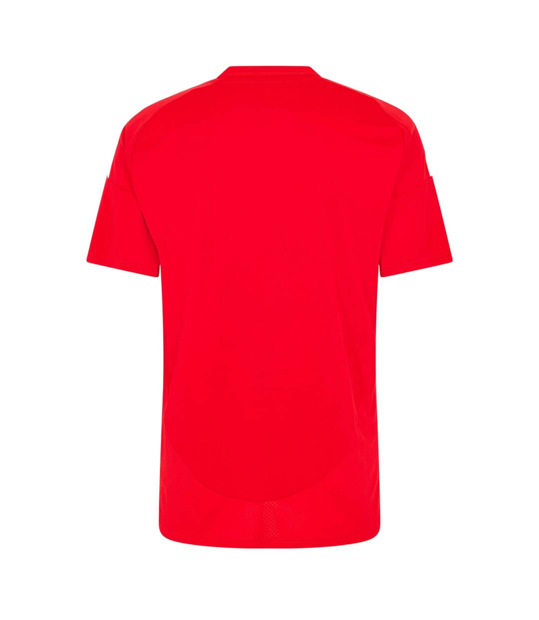 Maillot Domicile Motif/style Sl Benfica 24/25 Homme Rouge Adidas-2