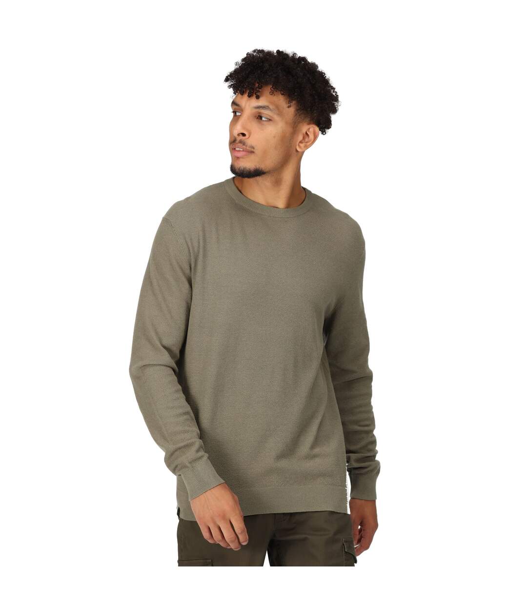 Mens cautley knitted sweater fauna Regatta