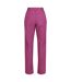 Regatta Womens/Ladies Questra IV Stretch Hiking Trousers (Amaranth Haze) - UTRG8255