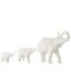 Statuette 3 Éléphants en Rang Burl 38cm Blanc-2