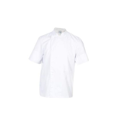 Veste  mixte manches courtes Robur Madras