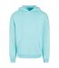 Sweat À Capuche Adulte Béryl Bleu Build Your Brand-1