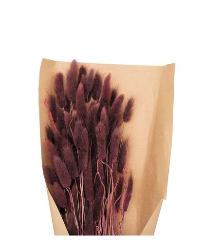 Bouquet de Fleurs Queue de Lapin 58cm Violet