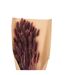 Bouquet de Fleurs Queue de Lapin 58cm Violet-2
