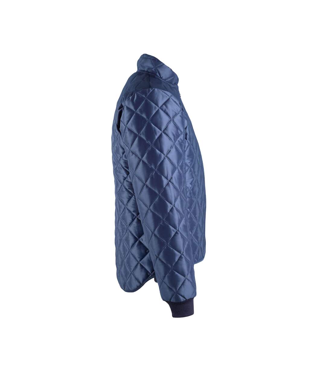 Veste Originals Ottawa Homme Bleu Marine Mascot-4