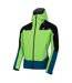 Veste Imperméable Roving Homme Vert Clair Bleu Sarcelle Dare 2B-4