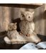 Statuette Hibou Imitation Bois 29cm Naturel-3