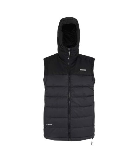 Veste Sans Manches Aldthorn Homme Gris Clair Noir Regatta
