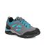 Regatta Womens/Ladies Holcombe IEP Low Hiking Boots (Steel/Vivacious) - UTRG3704