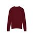 Pull Manches Longues Homme Pourpre Ted Baker-2